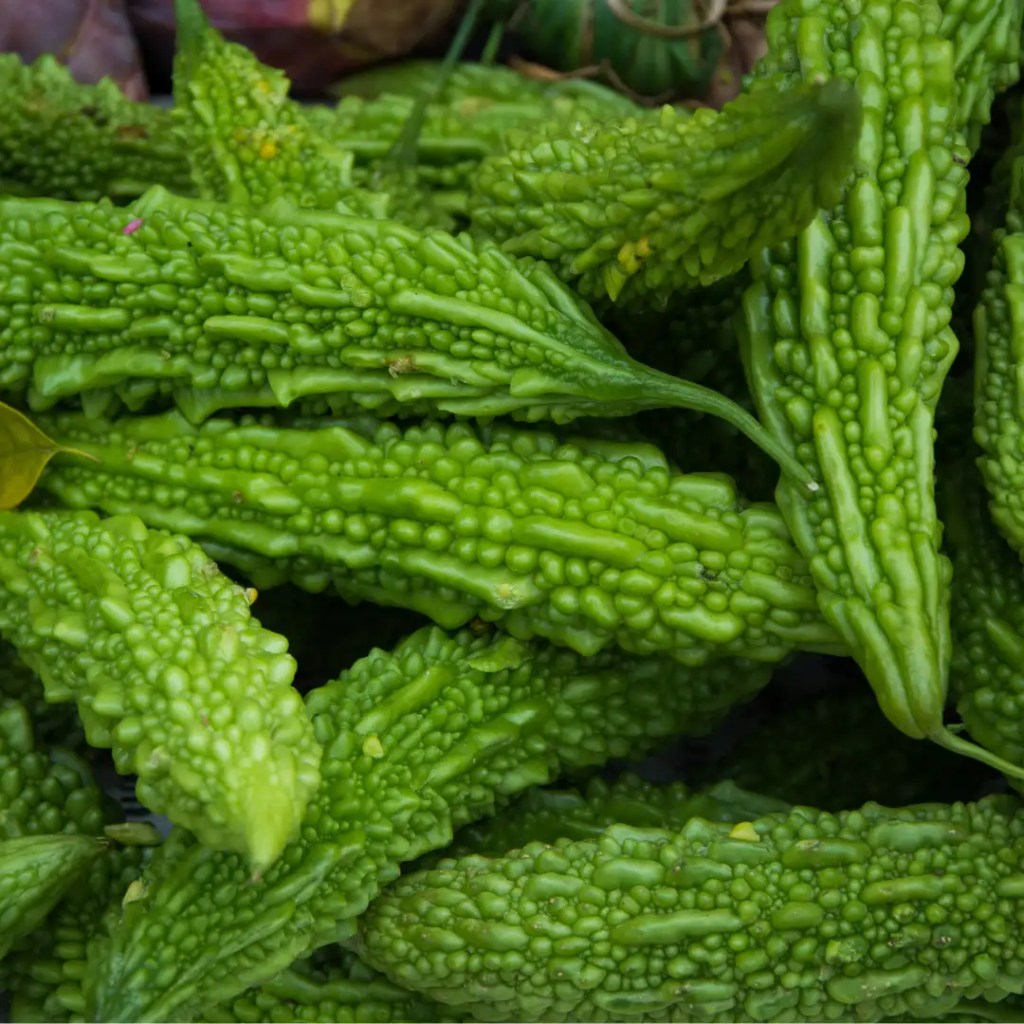 bitter melon information