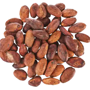 cocoa beans