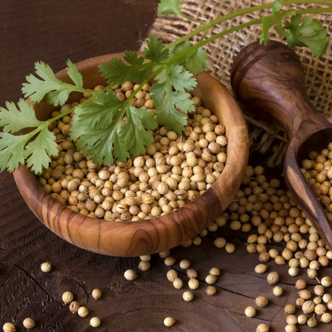 Coriander seed