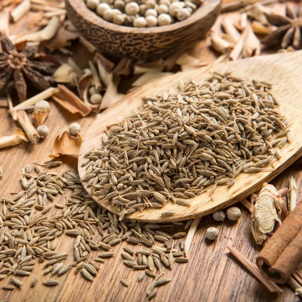 impormasyon ng cumin