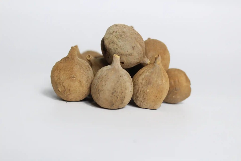 dried beleric myrobalan