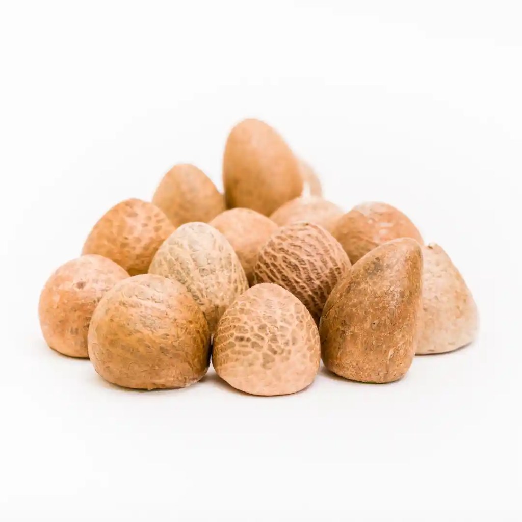 dried betel nut
