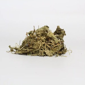 말린 센텔라 아시아티카