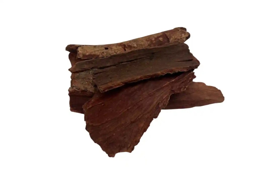 dried cinnamomum bejolghota