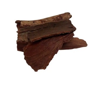 dried cinnamomum bejolghota
