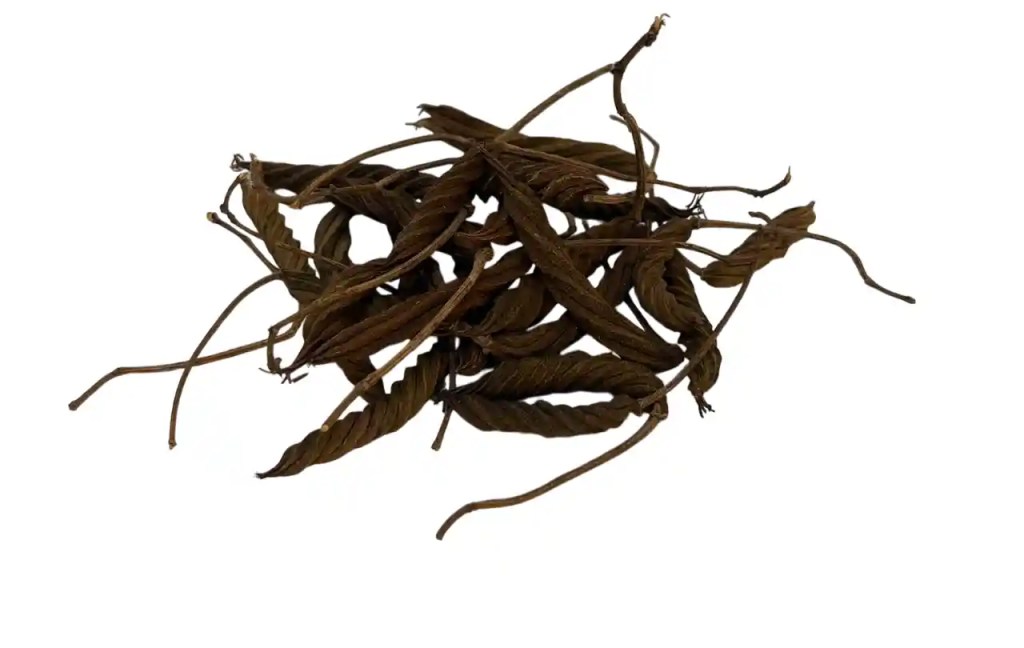 dried helicteres isora