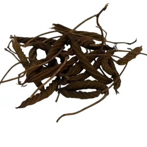 dried helicteres isora