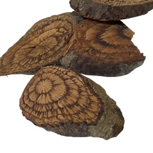 dried maa kra tuep rong