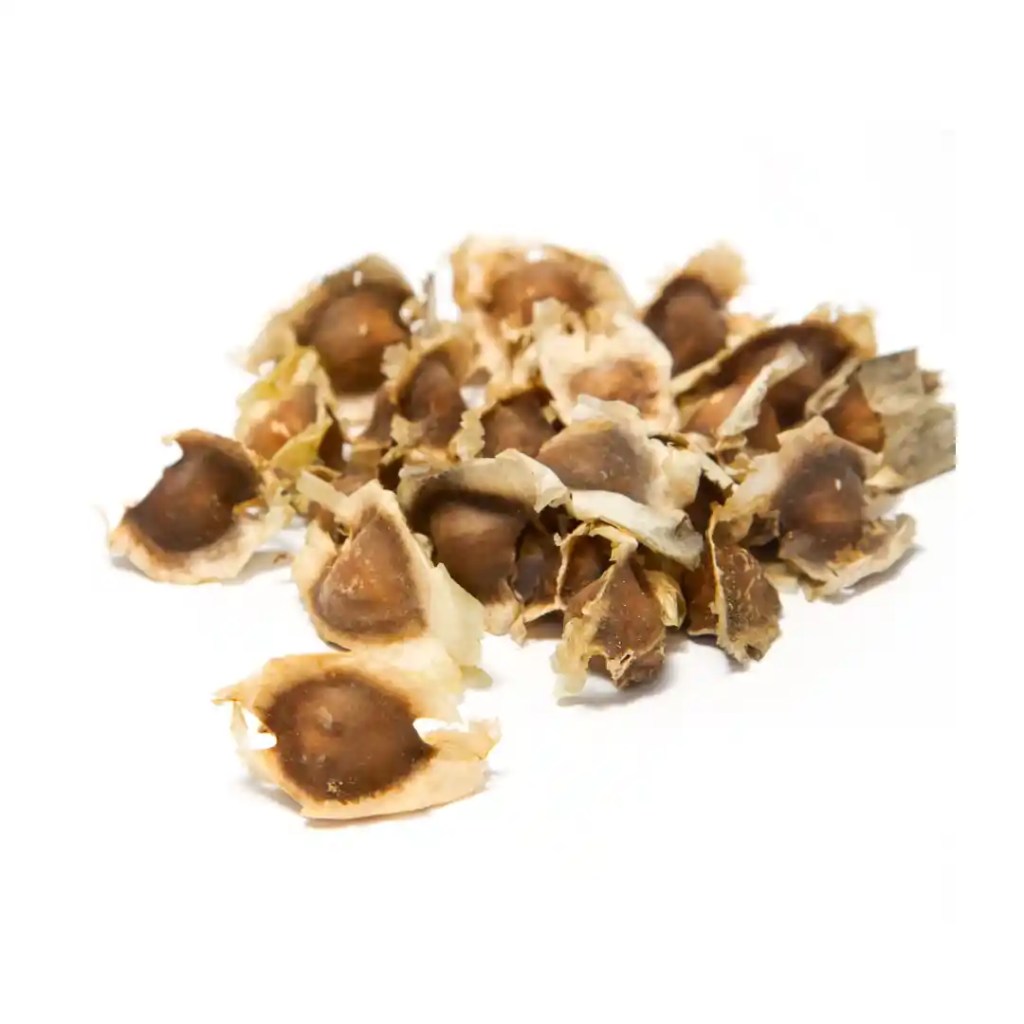 dried moringa