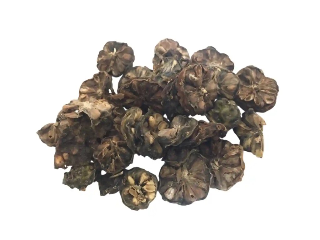 dried noni