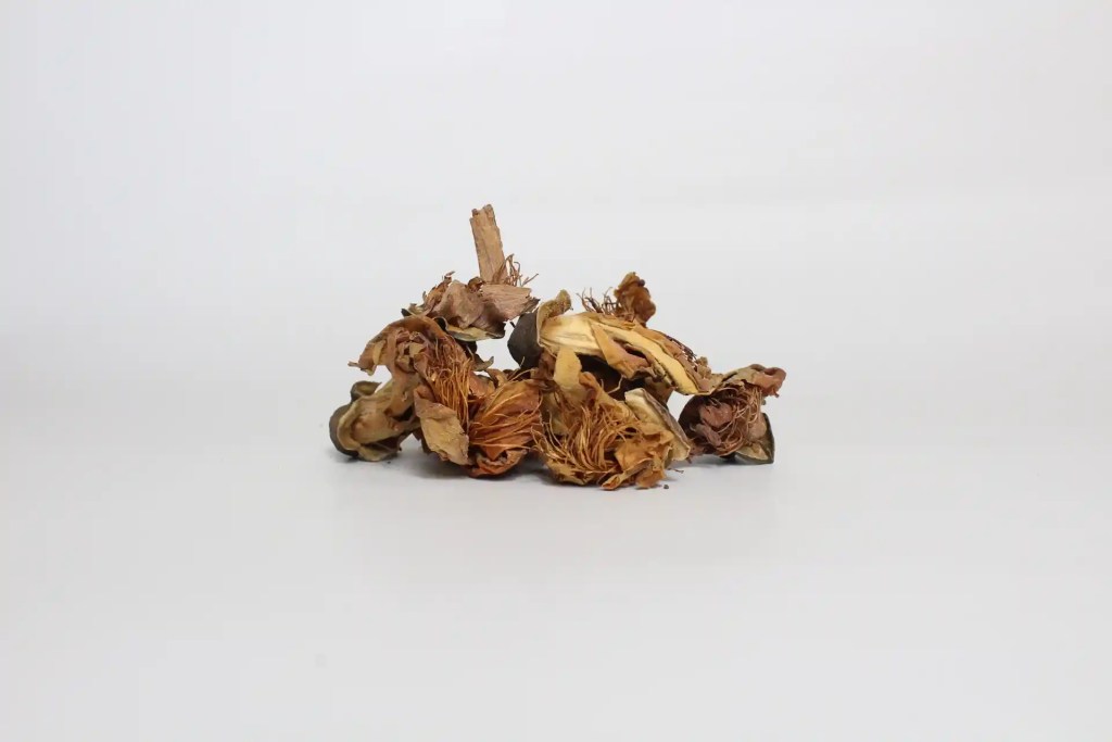 dried opera flower