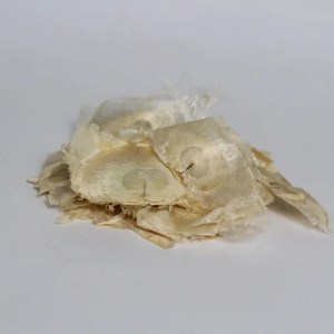 dried oroxylum indicum