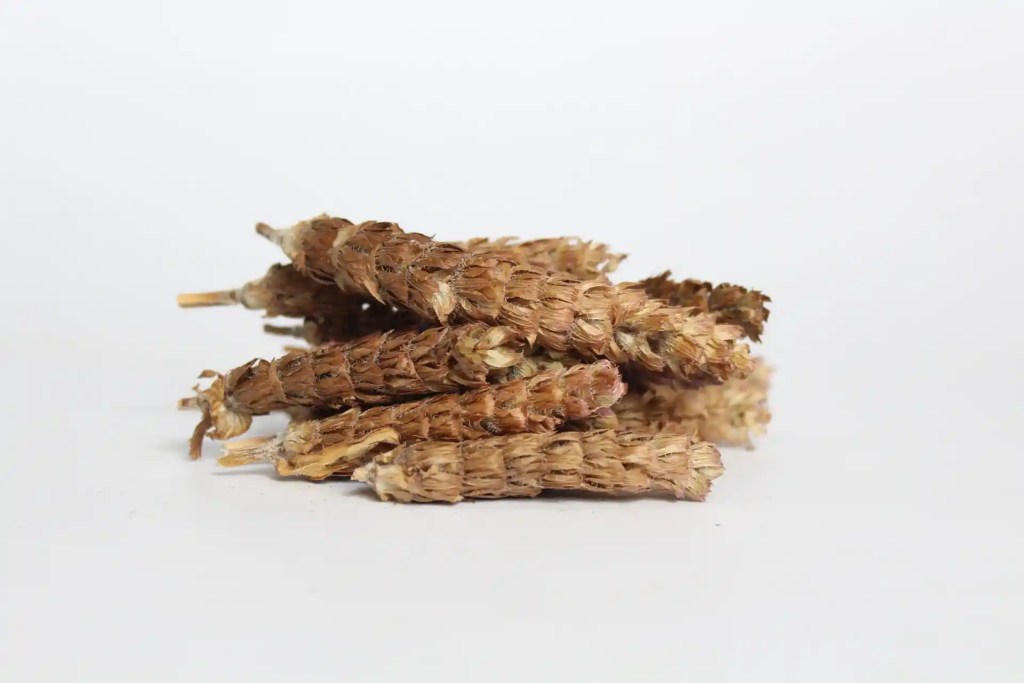 dried prunella vulgaris