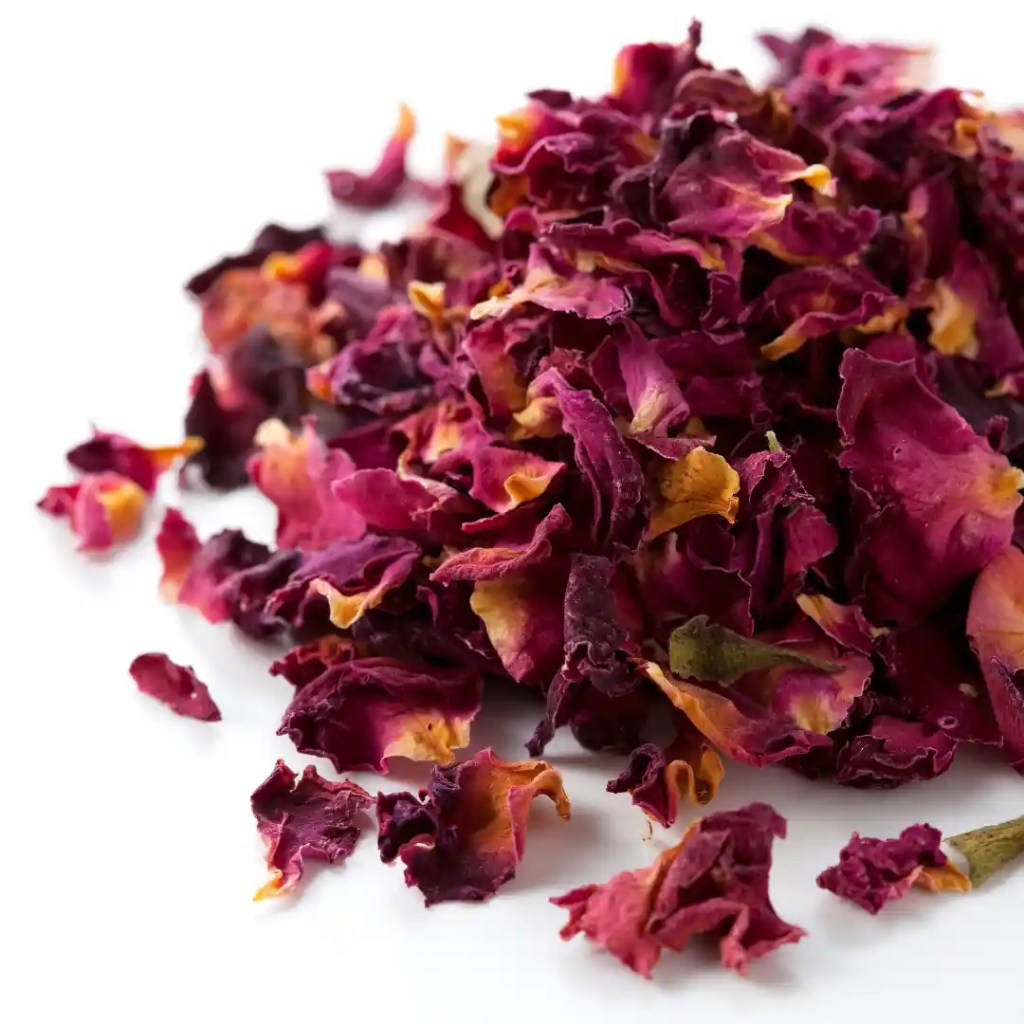 dried rose