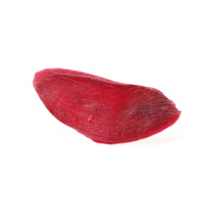 dried sweet potato