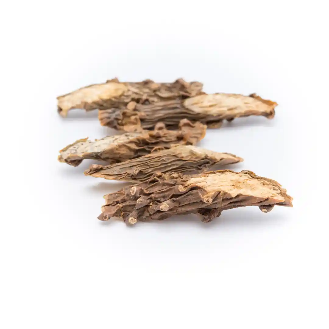 dried tinospora