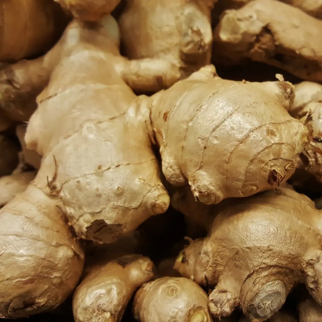 ginger information