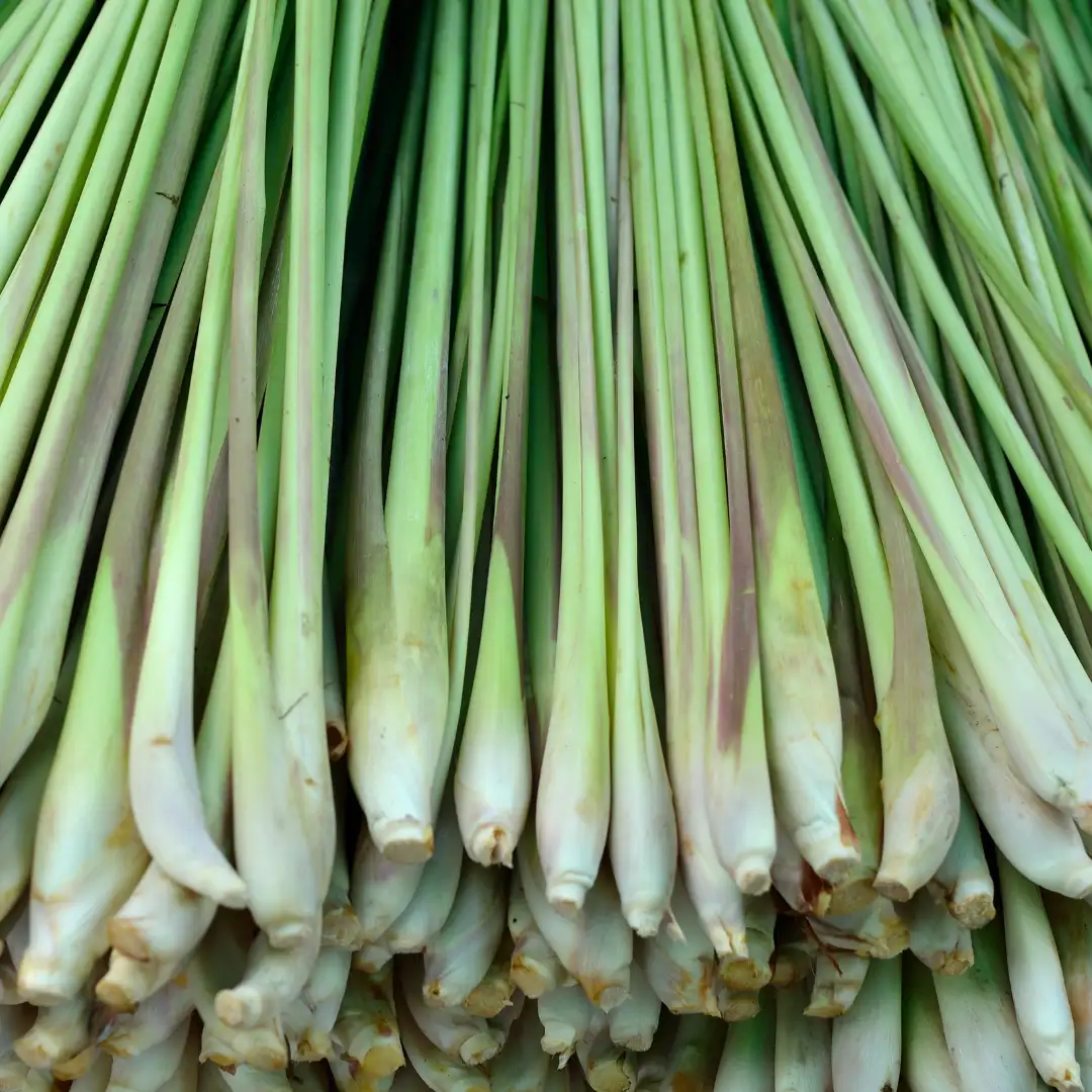 Lemongrass
