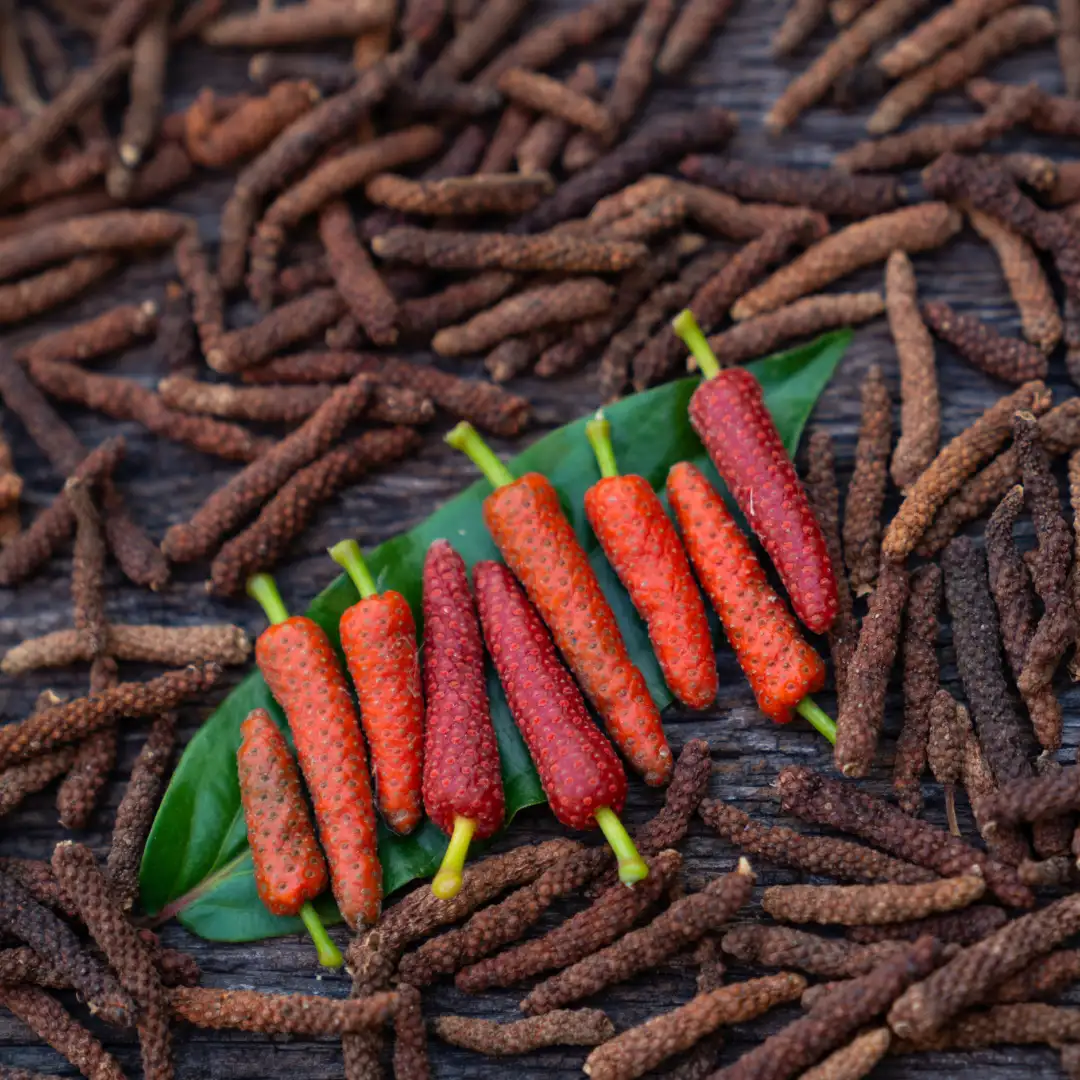 Long pepper