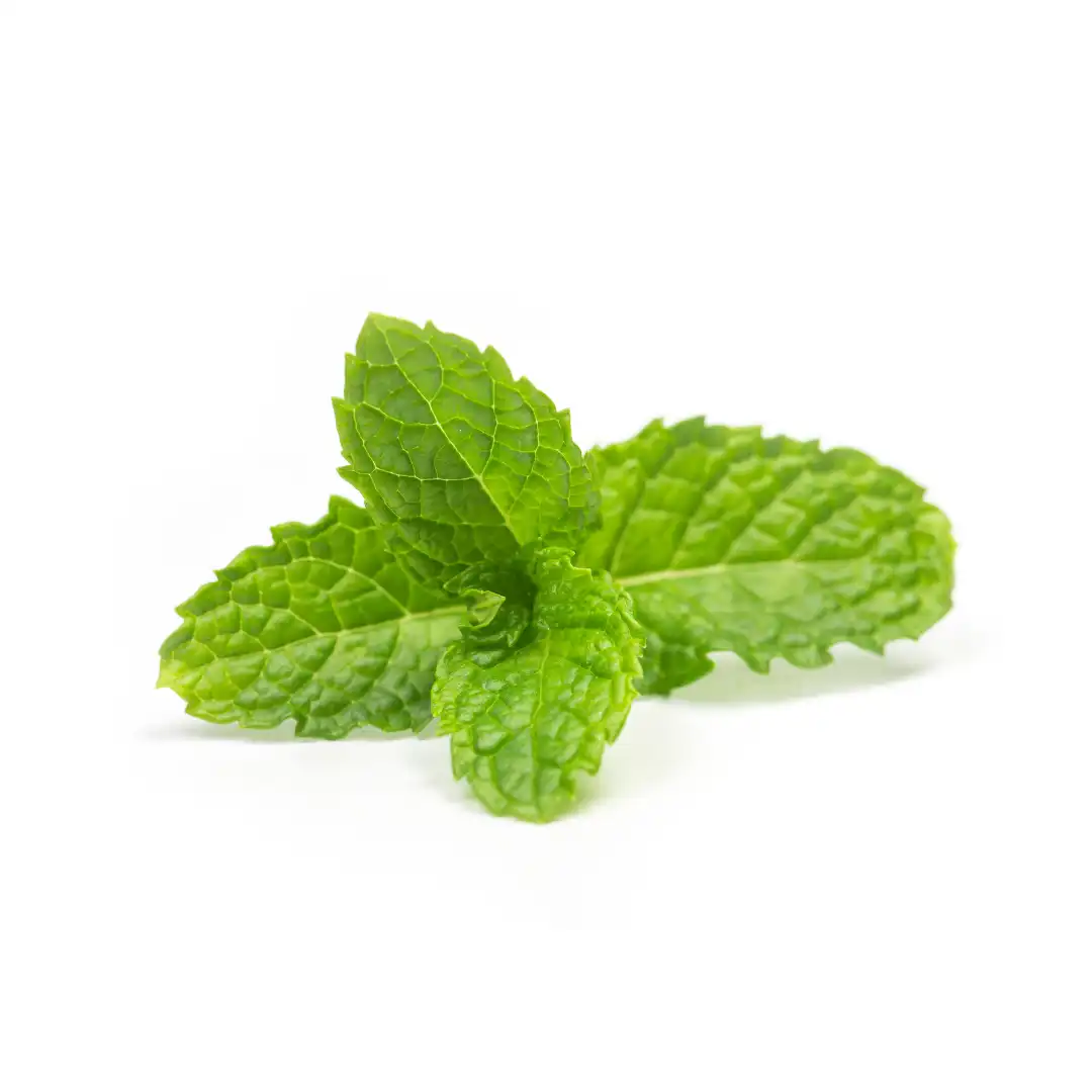 薄荷