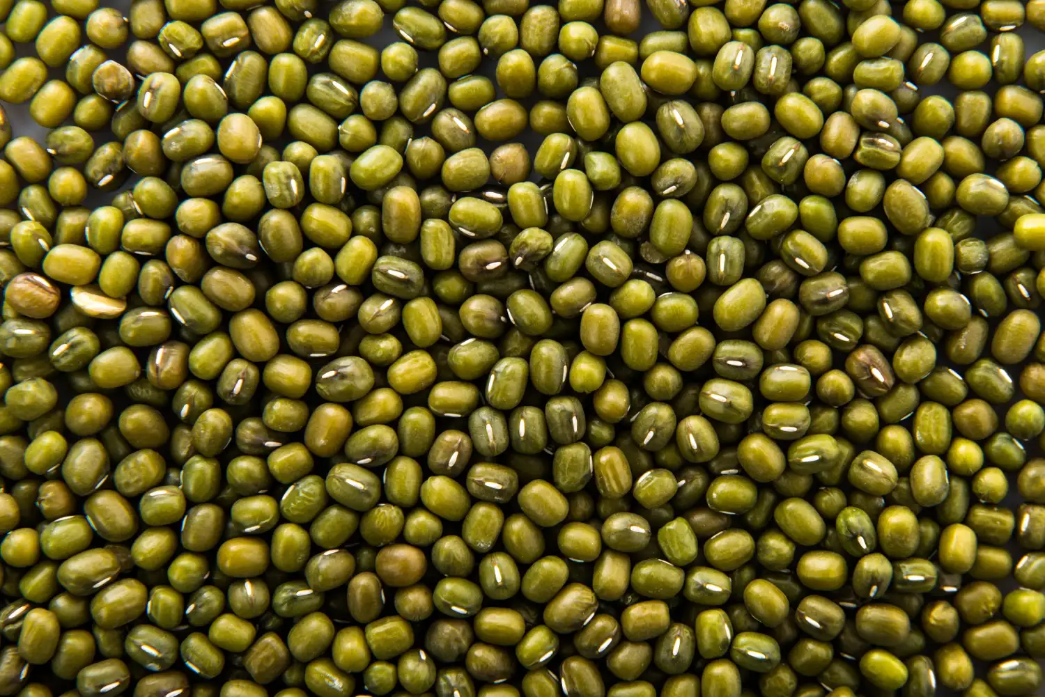Mung bean