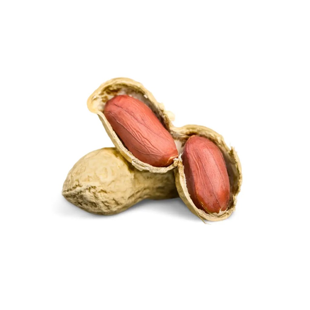 peanut bean