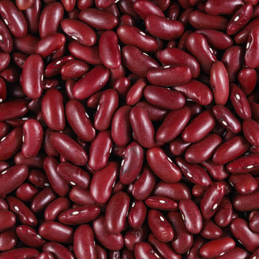 red bean information